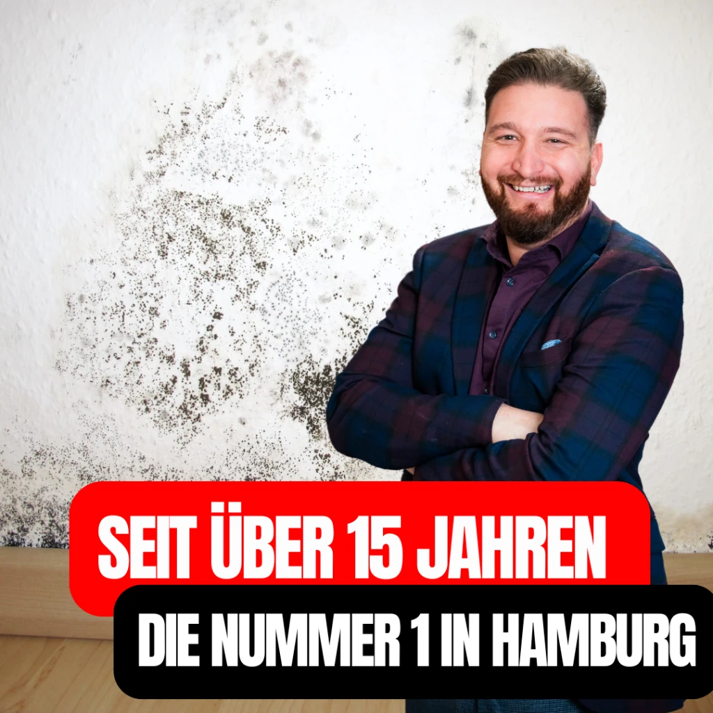 Sanierung Eimsbüttel - Profimaler Brandt Hamburg